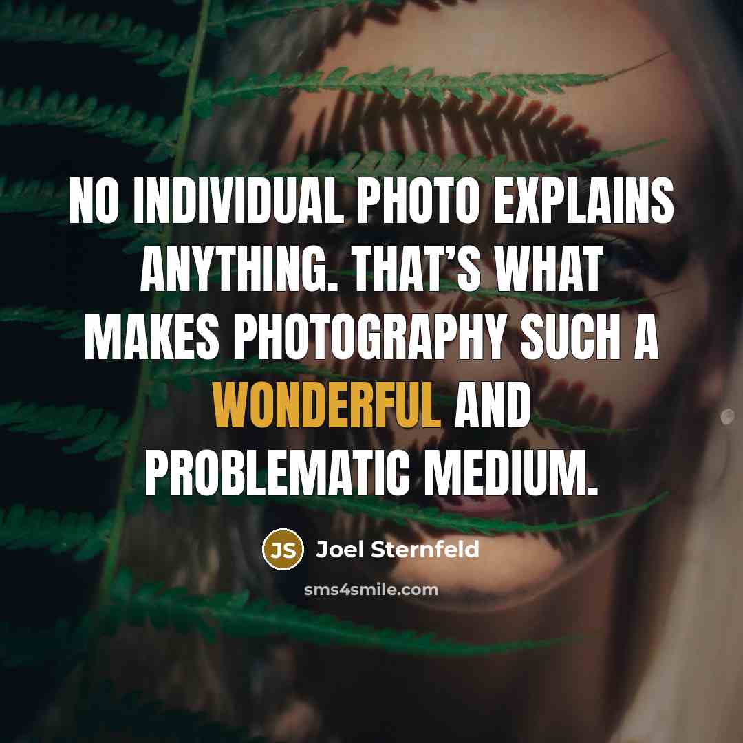 “No individual photo explains anything. That’s what makes photography such a wonderful and problematic medium.” quote by Joel Sternfeld