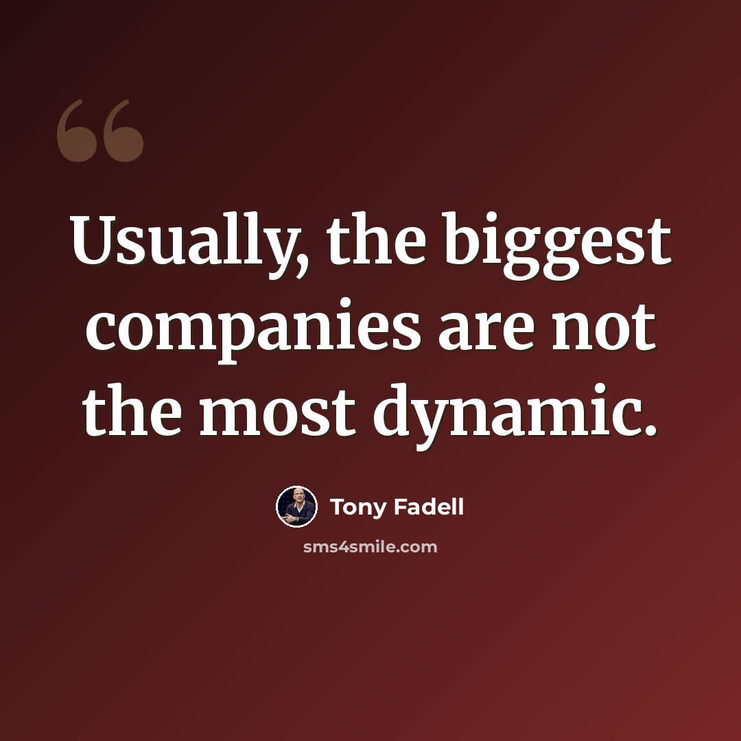“Usually, the biggest companies are not the most dynamic.” quote by Tony Fadell