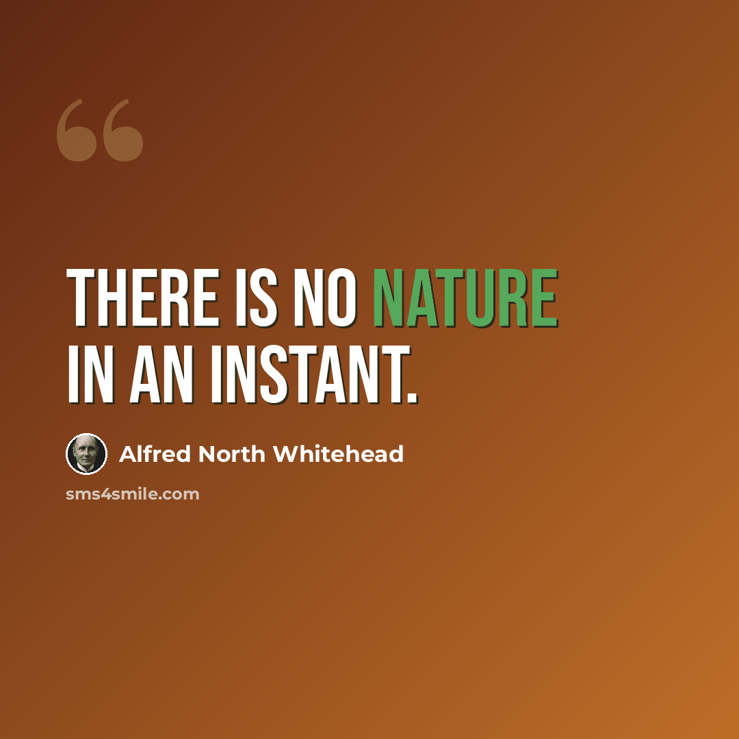 “There is no nature in an instant.” quote by Alfred North Whitehead