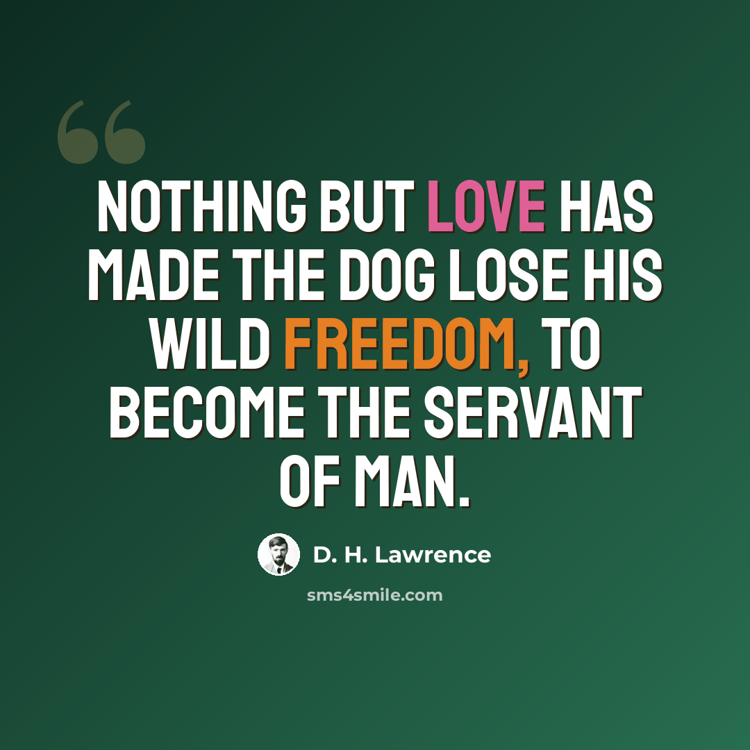 “Nothing but love has made the dog lose his wild freedom, to become the servant of man.” quote by D. H. Lawrence