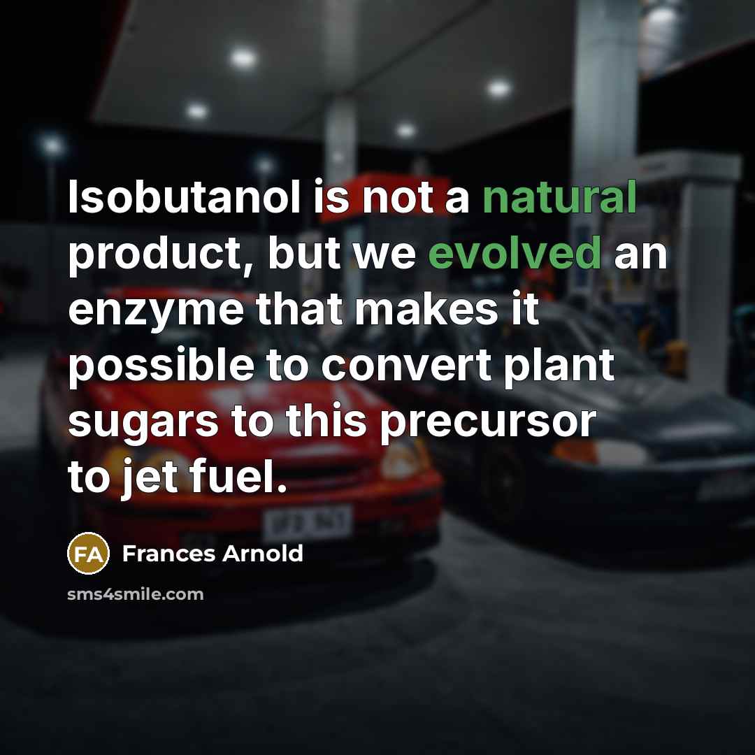 “Isobutanol is not a natural product, but we evolved an enzyme that makes it possible to convert plant sugars to this precursor to jet fuel.” quote by Frances Arnold