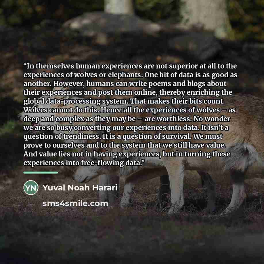 “In themselves human experiences are not superior at all to the experiences of wolves or elephants. One bit of data is as good as another. However, humans can write poems and blogs about their experiences and post them online, thereby enriching the global data-processing system. That makes their…” quote by Yuval Noah Harari