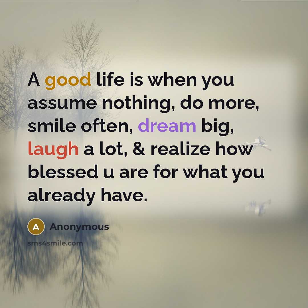 “A good life is when you assume nothing, do more, smile often, dream big, laugh a lot, & realize how blessed u are for what you already have.” quote by Anonymous