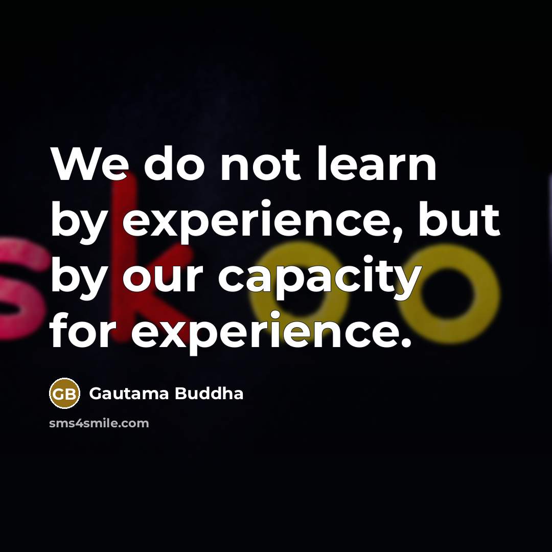 “We do not learn by experience, but by our capacity for experience.” quote by Gautama Buddha