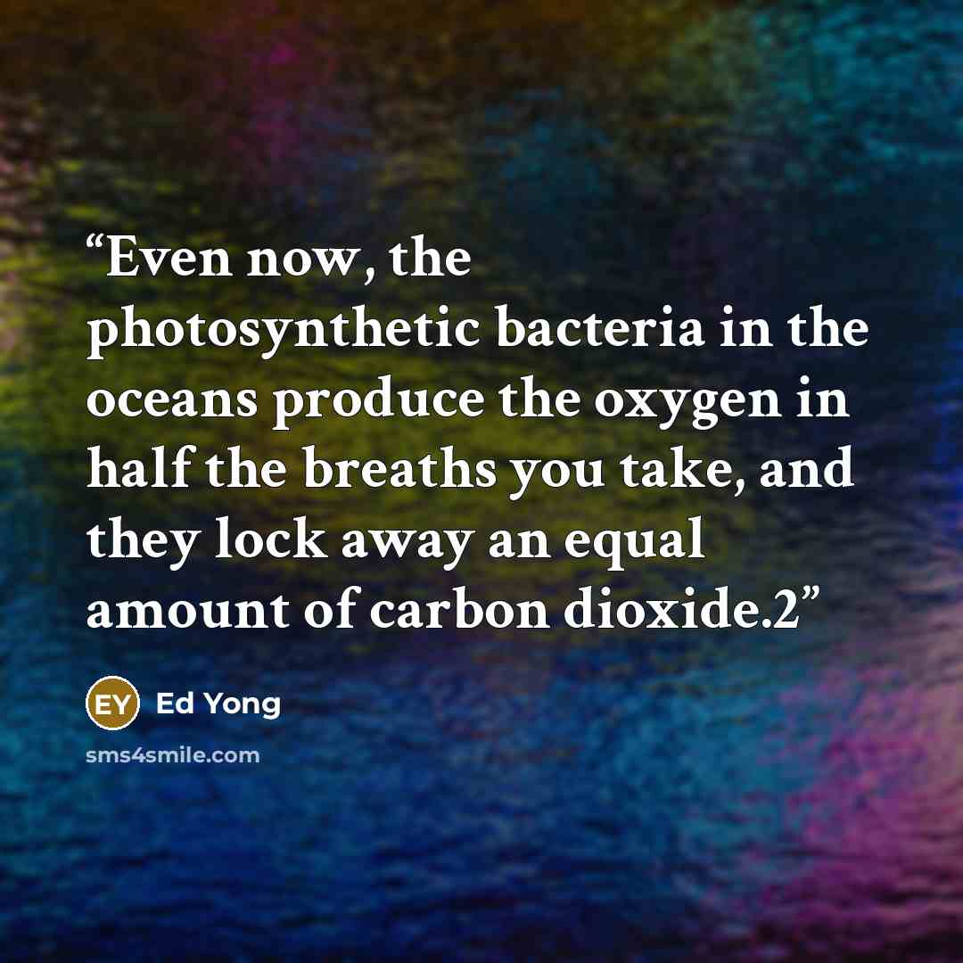 “Even now, the photosynthetic bacteria in the oceans produce the oxygen in half the breaths you take, and they lock away an equal amount of carbon dioxide.2” quote by Ed Yong