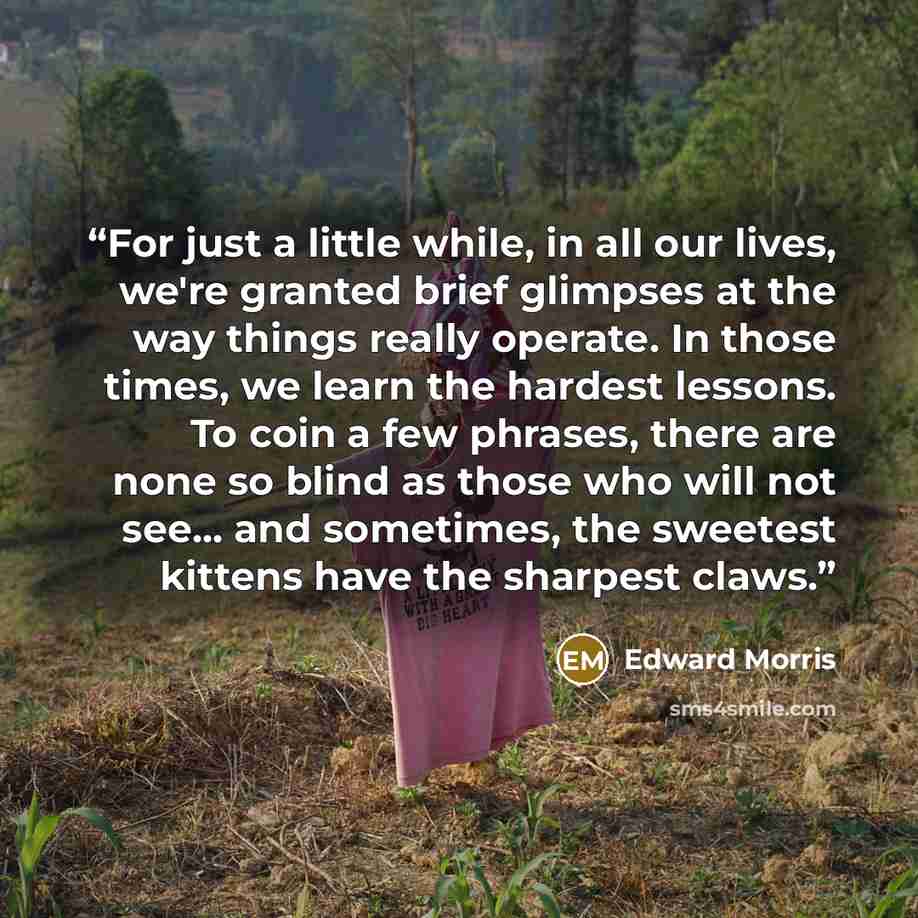 “For just a little while, in all our lives, we're granted brief glimpses at the way things really operate. In those times, we learn the hardest lessons. To coin a few phrases, there are none so blind as those who will not see... and sometimes, the sweetest kittens have the sharpest claws.” quote by Edward Morris