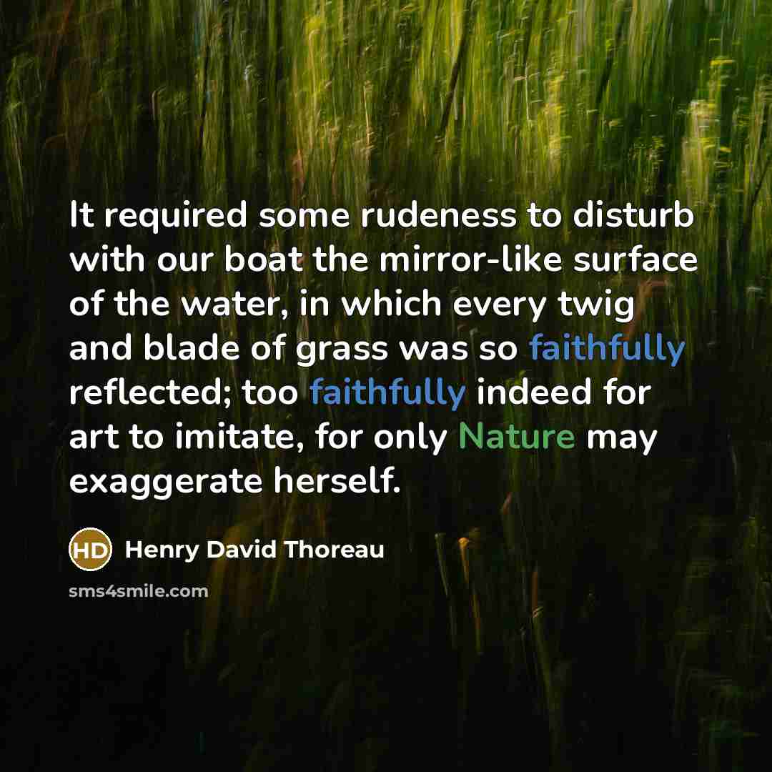 “It required some rudeness to disturb with our boat the mirror-like surface of the water, in which every twig and blade of grass was so faithfully reflected; too faithfully indeed for art to imitate, for only Nature may exaggerate herself.” quote by Henry David Thoreau