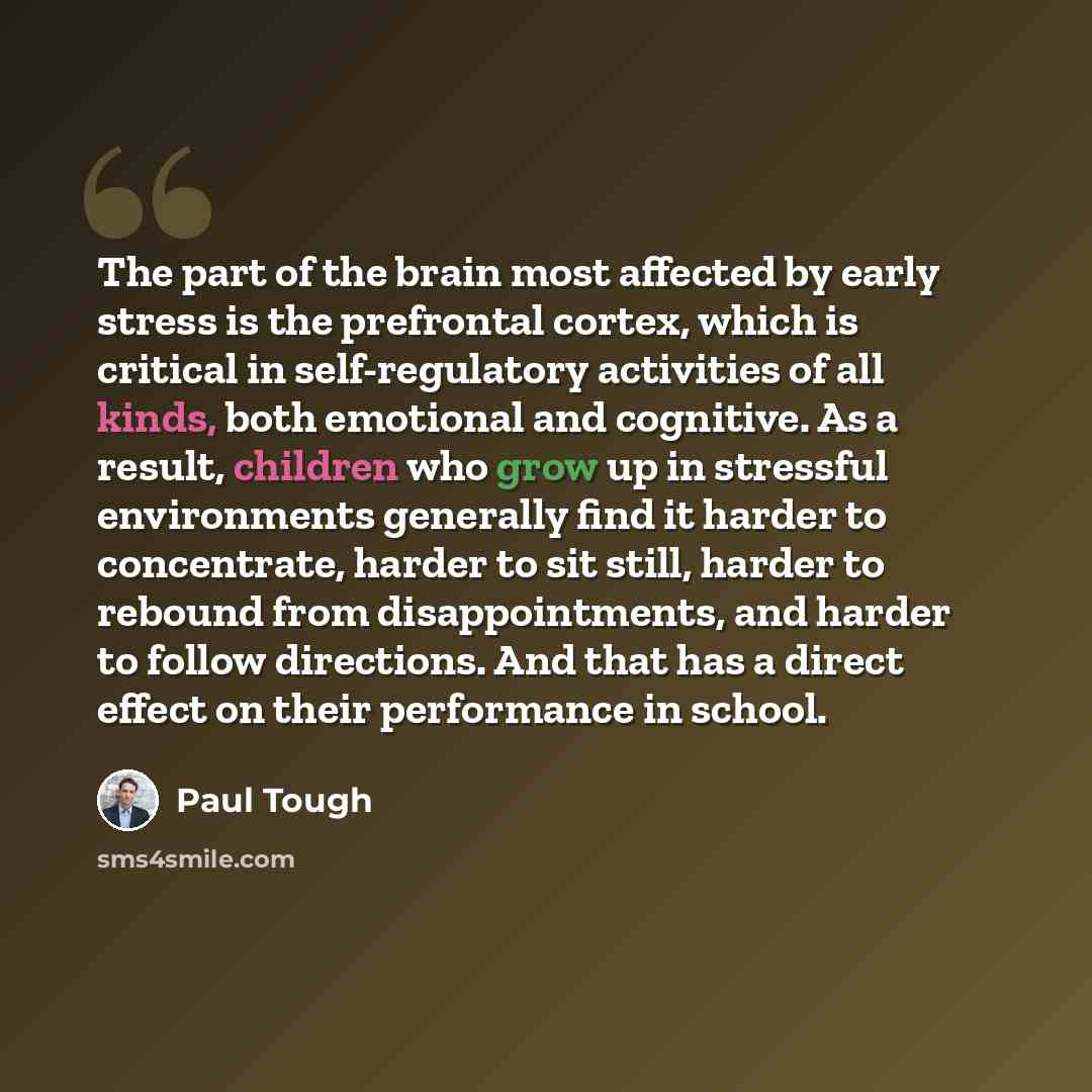 “The part of the brain most affected by early stress is the prefrontal cortex, which is critical in self-regulatory activities of all kinds, both emotional and cognitive. As a result, children who grow up in stressful environments generally find it harder to concentrate, harder to sit still, harder…” quote by Paul Tough