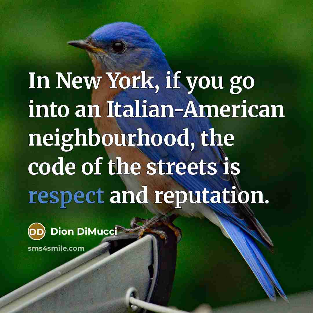 “In New York, if you go into an Italian-American neighbourhood, the code of the streets is respect and reputation.” quote by Dion DiMucci