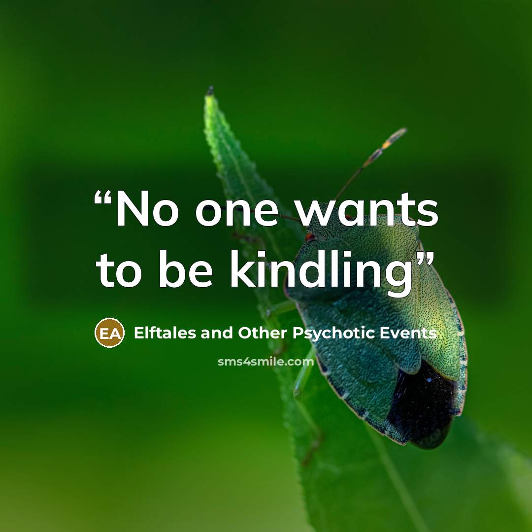 “No one wants to be kindling” quote by Elftales and Other Psychotic Events