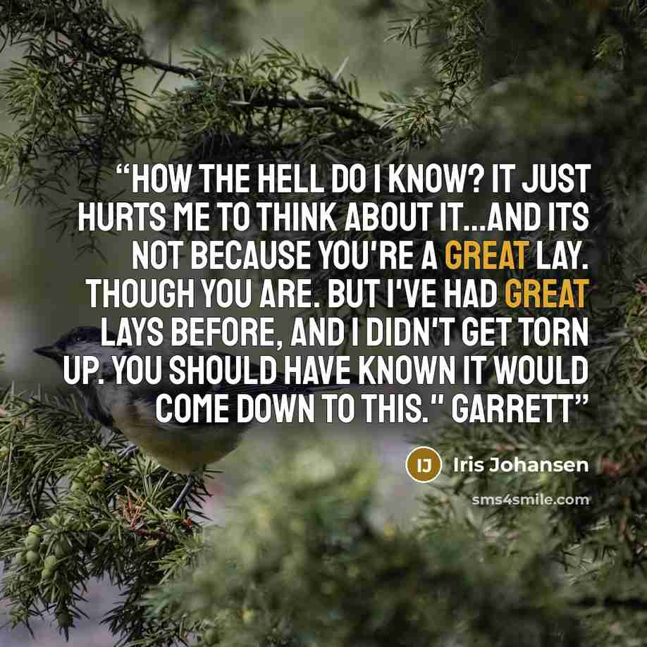 “How the hell do I know? It just hurts me to think about it…And its not because you're a great lay. Though you are. But I've had great lays before, and I didn't get torn up. You should have known it would come down to this." Garrett” quote by Iris Johansen