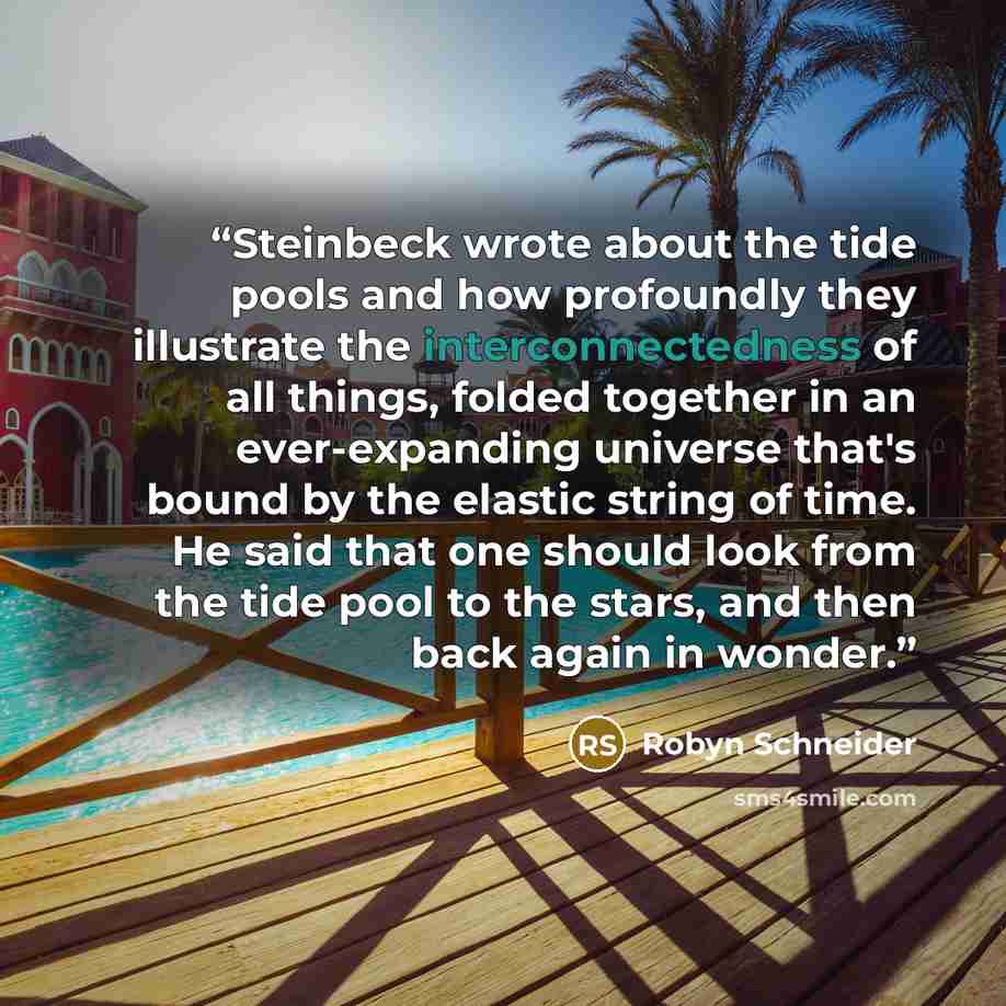 “Steinbeck wrote about the tide pools and how profoundly they illustrate the interconnectedness of all things, folded together in an ever-expanding universe that's bound by the elastic string of time. He said that one should look from the tide pool to the stars, and then back again in wonder.” quote by Robyn Schneider