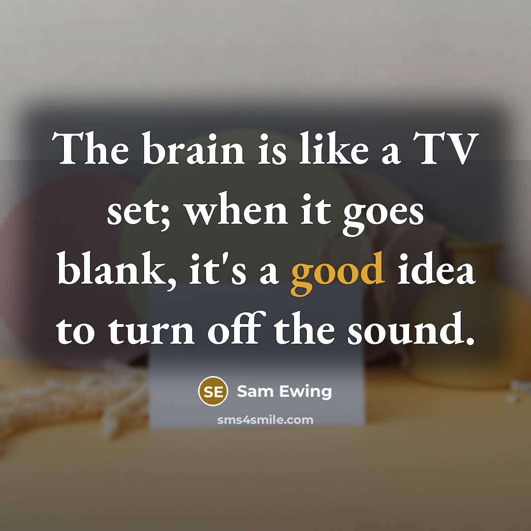 “The brain is like a TV set; when it goes blank, it's a good idea to turn off the sound.” quote by Sam Ewing