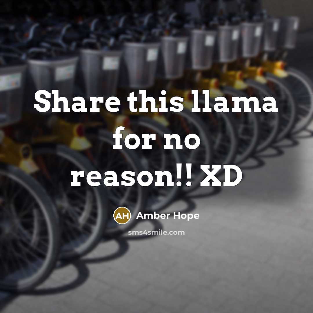 “Share this llama for no reason!! XD” quote by Amber Hope