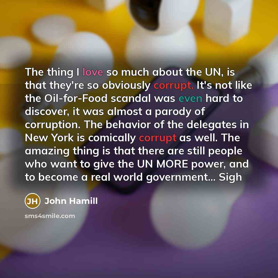 “The thing I love so much about the UN, is that they're so obviously corrupt. It's not like the Oil-for-Food scandal was even hard to discover, it was almost a parody of corruption. The behavior of the delegates in New York is comically corrupt as well. The amazing thing is that there are still…” quote by John Hamill
