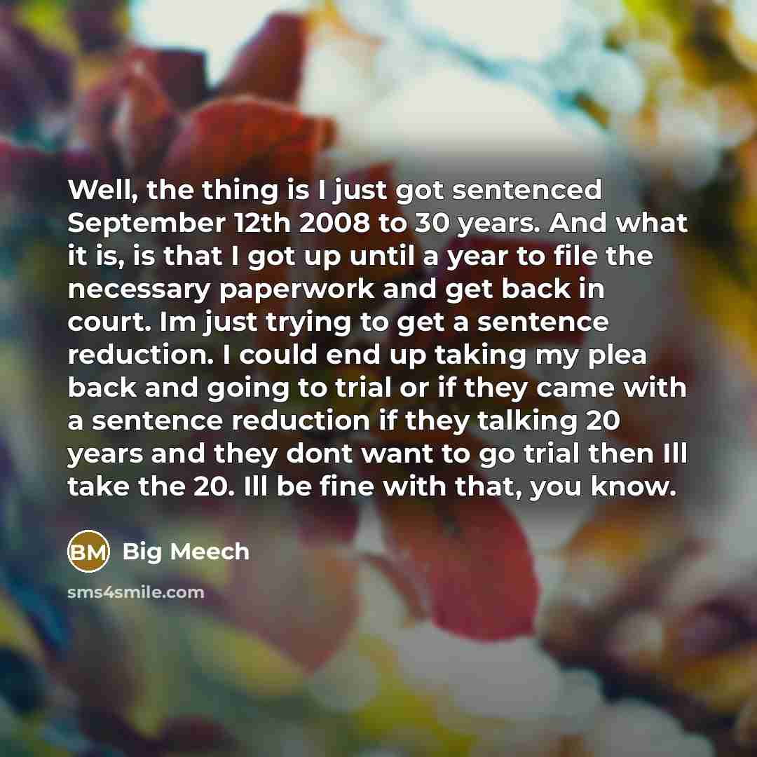 “Well, the thing is I just got sentenced September 12th 2008 to 30 years. And what it is, is that I got up until a year to file the necessary paperwork and get back in court. Im just trying to get a sentence reduction. I could end up taking my plea back and going to trial or if they came with a…” quote by Big Meech