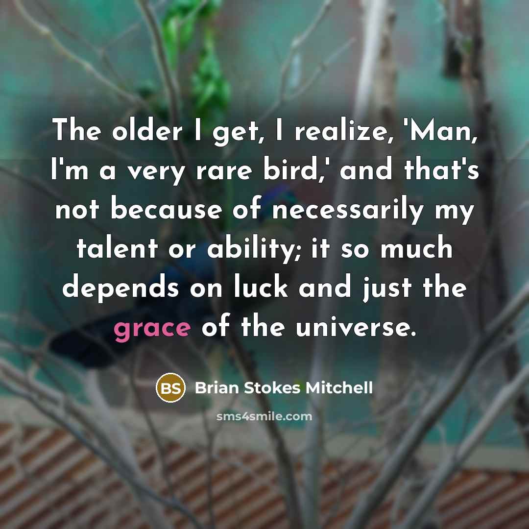 “The older I get, I realize, 'Man, I'm a very rare bird,' and that's not because of necessarily my talent or ability; it so much depends on luck and just the grace of the universe.” quote by Brian Stokes Mitchell