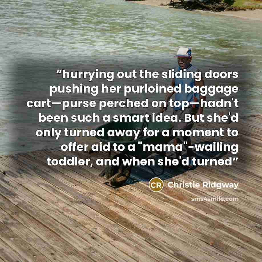 “hurrying out the sliding doors pushing her purloined baggage cart—purse perched on top—hadn't been such a smart idea. But she'd only turned away for a moment to offer aid to a "mama"-wailing toddler, and when she'd turned” quote by Christie Ridgway
