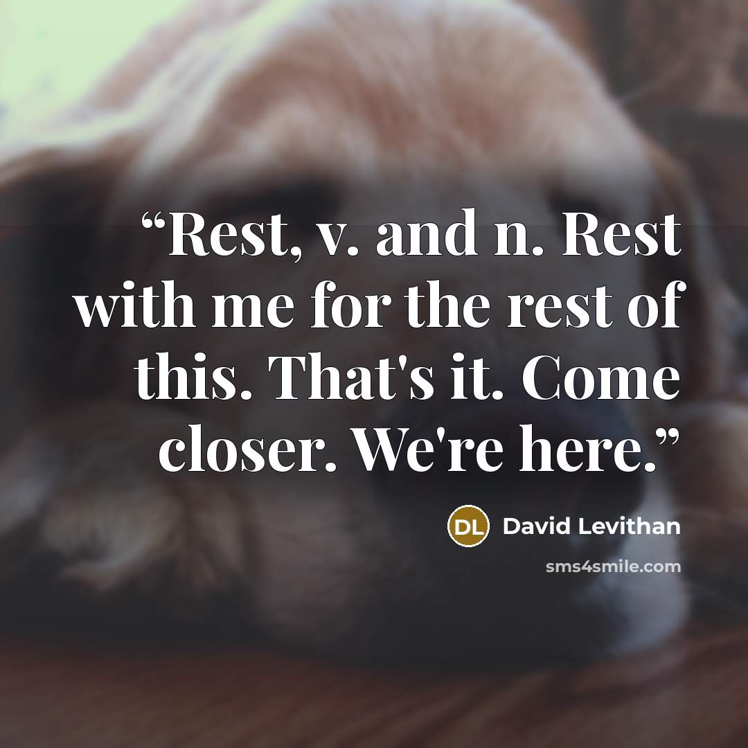 “Rest, v. and n. Rest with me for the rest of this. That's it. Come closer. We're here.” quote by David Levithan