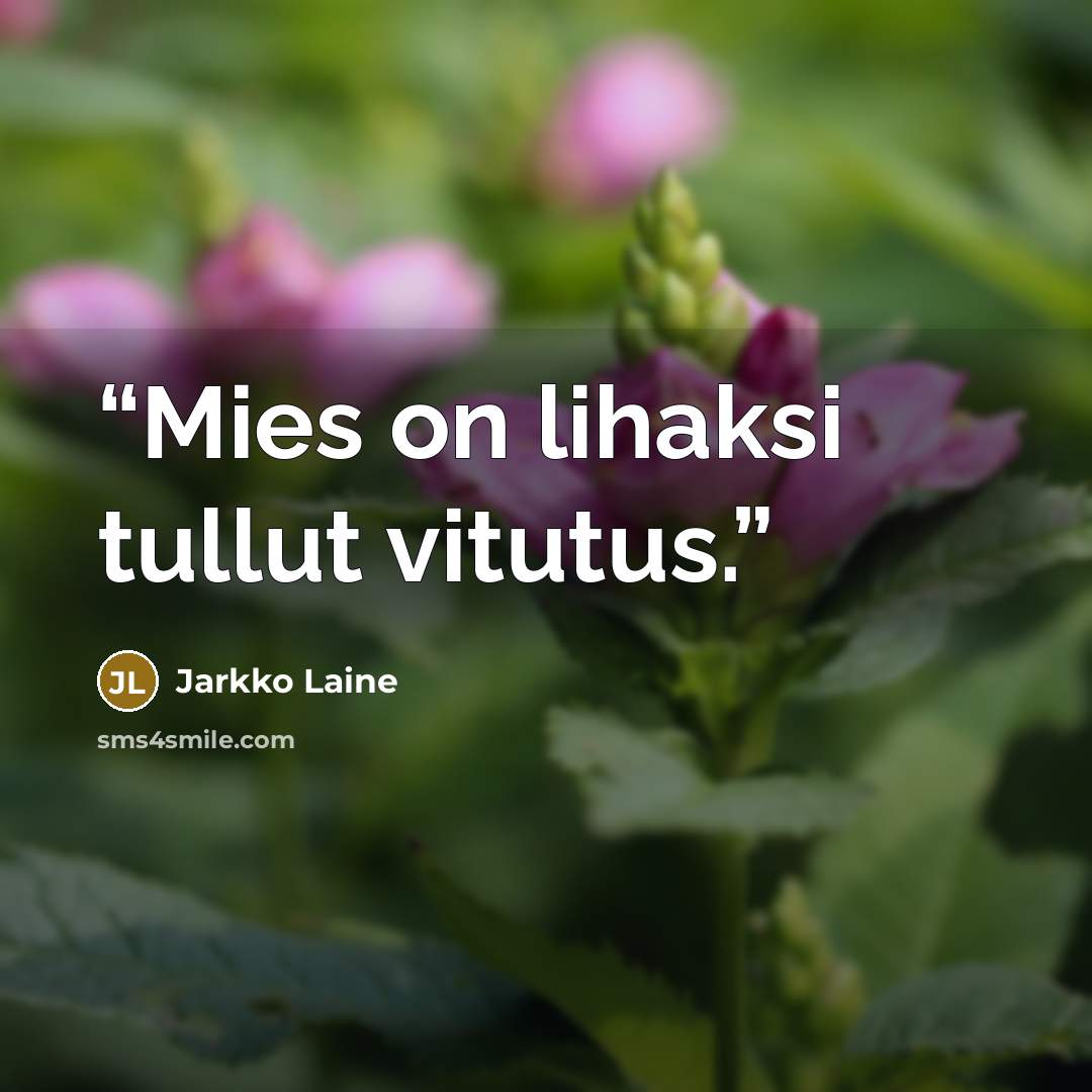 “Mies on lihaksi tullut vitutus.” quote by Jarkko Laine