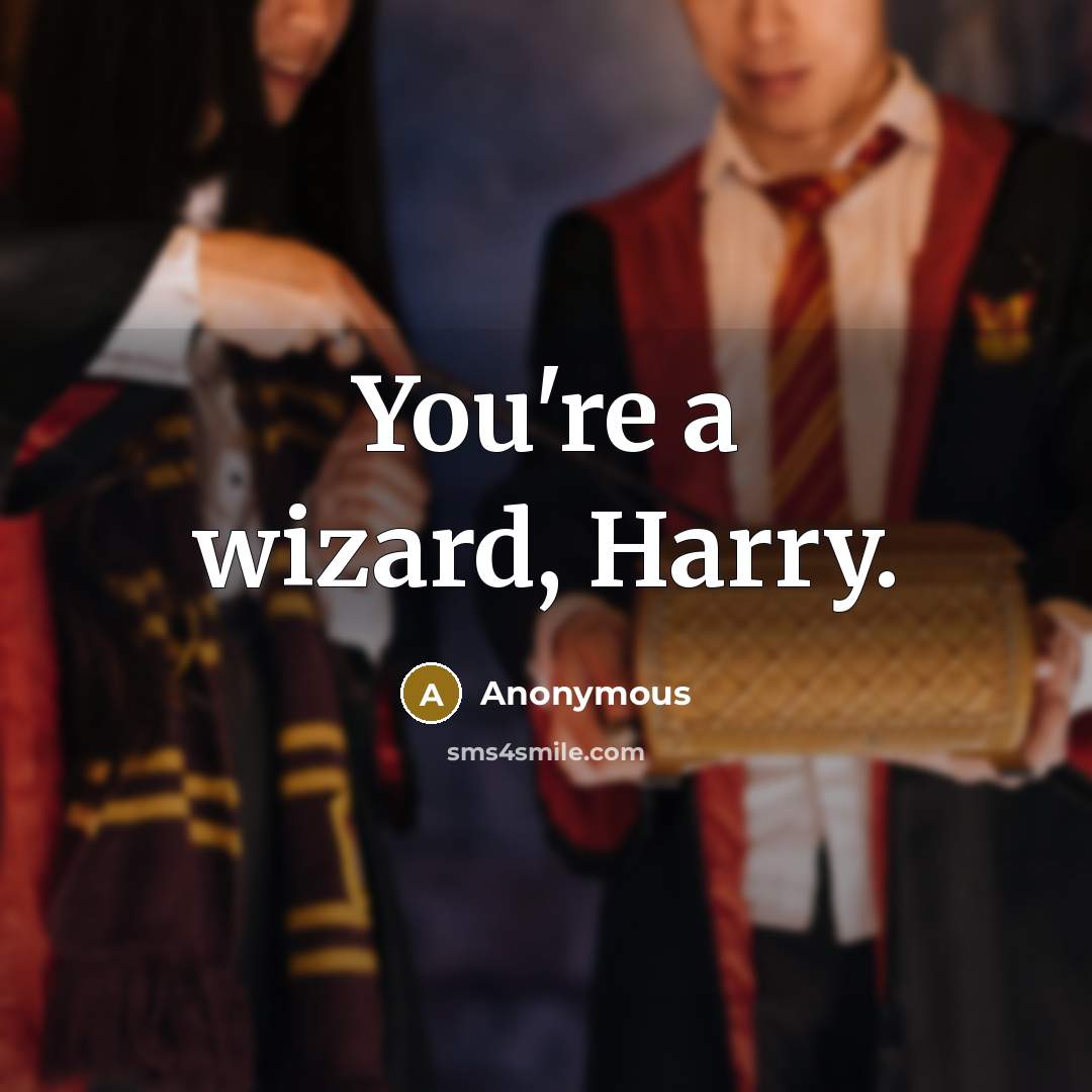 “You're a wizard, Harry.” quote by Anonymous