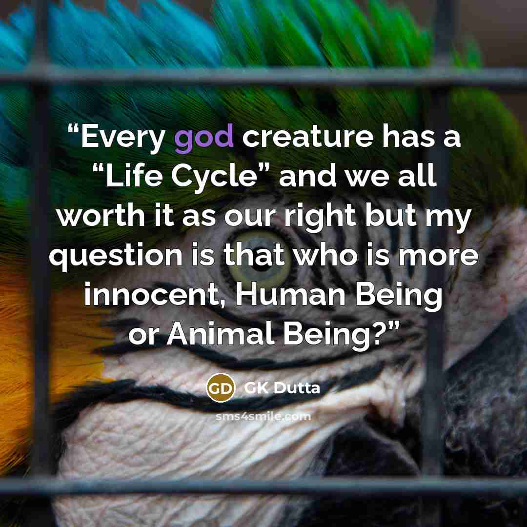 “Every god creature has a “Life Cycle” and we all worth it as our right but my question is that who is more innocent, Human Being or Animal Being?” quote by GK Dutta