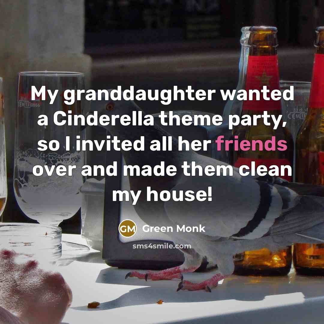 “My granddaughter wanted a Cinderella theme party, so I invited all her friends over and made them clean my house!” quote by Green Monk