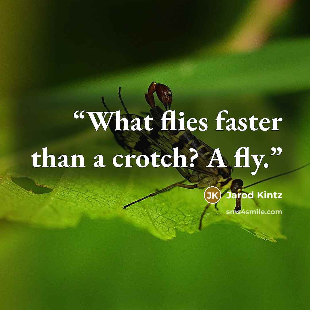 “What flies faster than a crotch? A fly.” quote by Jarod Kintz