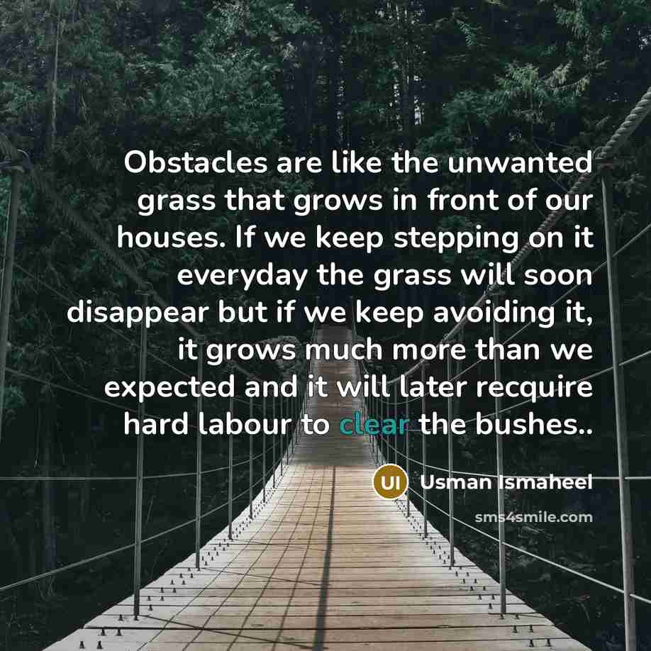 “Obstacles are like the unwanted grass that grows in front of our houses. If we keep stepping on it everyday the grass will soon disappear but if we keep avoiding it, it grows much more than we expected and it will later recquire hard labour to clear the bushes..” quote by Usman Ismaheel