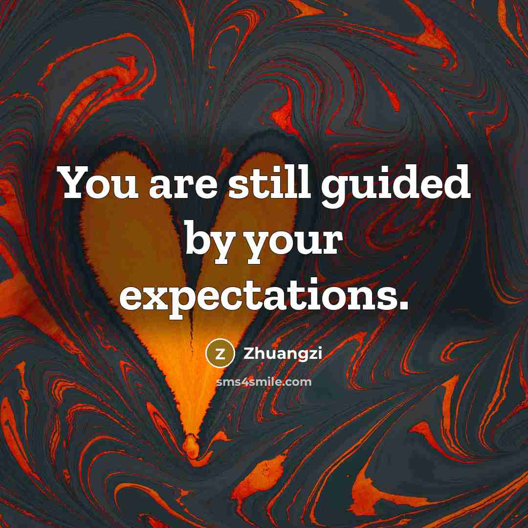 “You are still guided by your expectations.” quote by Zhuangzi