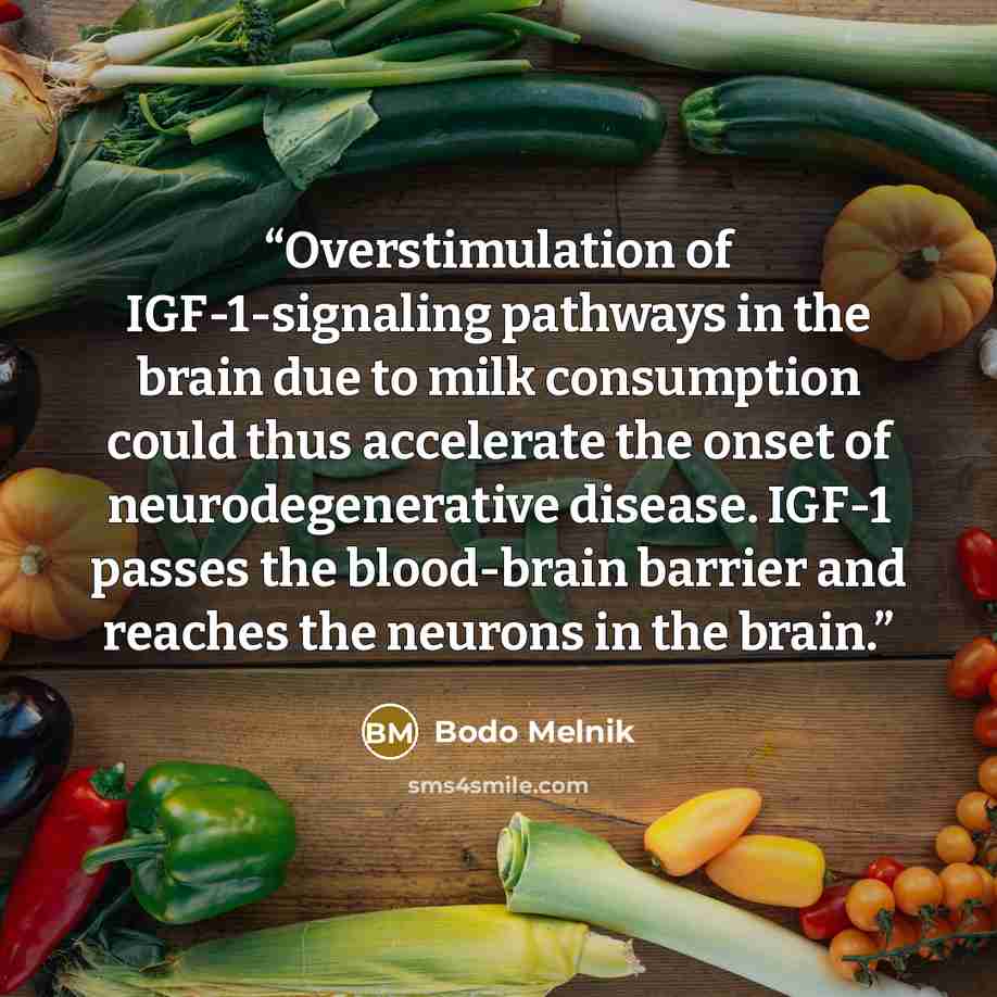 “Overstimulation of IGF-1-signaling pathways in the brain due to milk consumption could thus accelerate the onset of neurodegenerative disease. IGF-1 passes the blood-brain barrier and reaches the neurons in the brain.” quote by Bodo Melnik