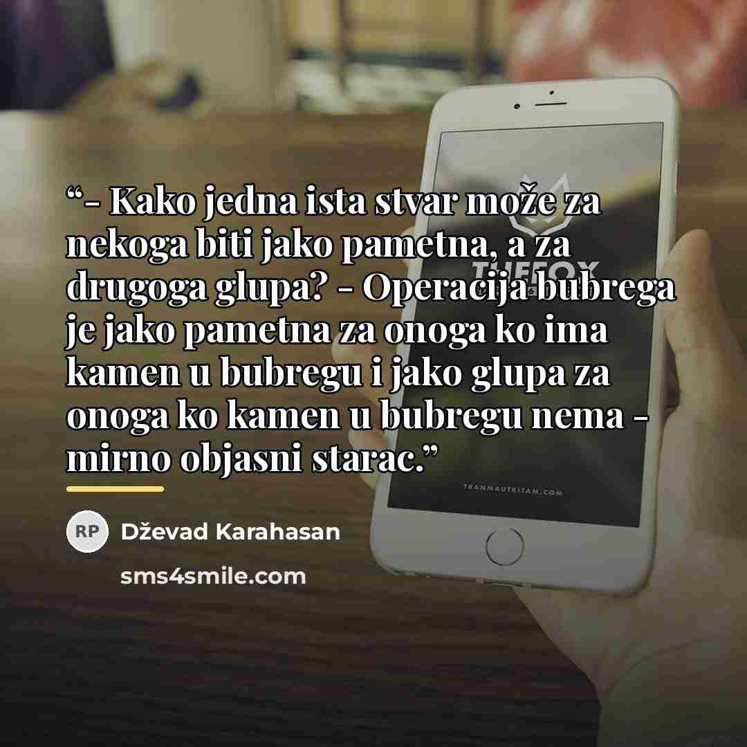 “- Kako jedna ista stvar može za nekoga biti jako pametna, a za drugoga glupa? - Operacija bubrega je jako pametna za onoga ko ima kamen u bubregu i jako glupa za onoga ko kamen u bubregu nema - mirno objasni starac.” quote by Dževad Karahasan
