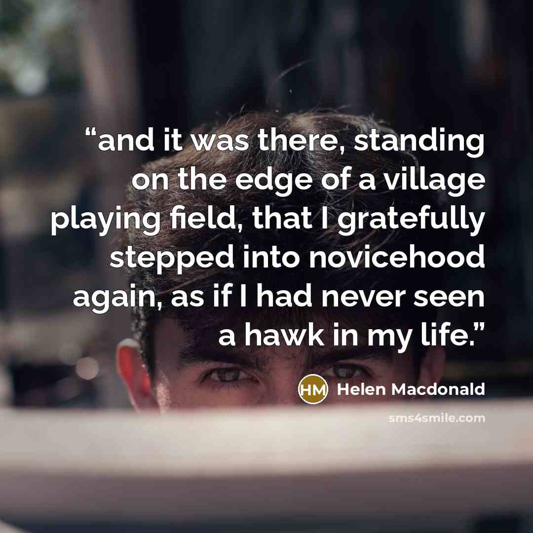 “and it was there, standing on the edge of a village playing field, that I gratefully stepped into novicehood again, as if I had never seen a hawk in my life.” quote by Helen Macdonald