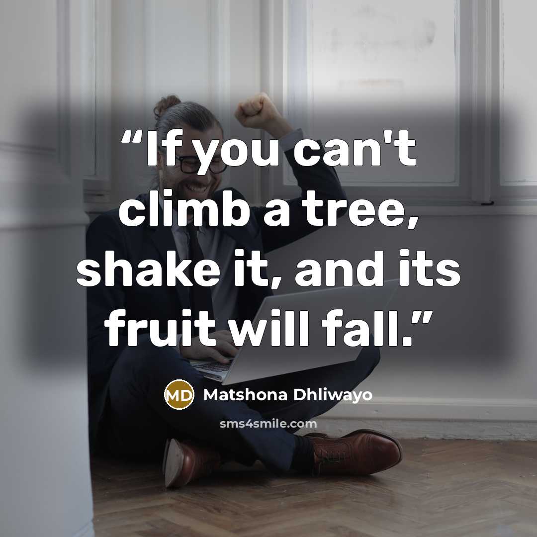 “If you can't climb a tree, shake it, and its fruit will fall.” quote by Matshona Dhliwayo