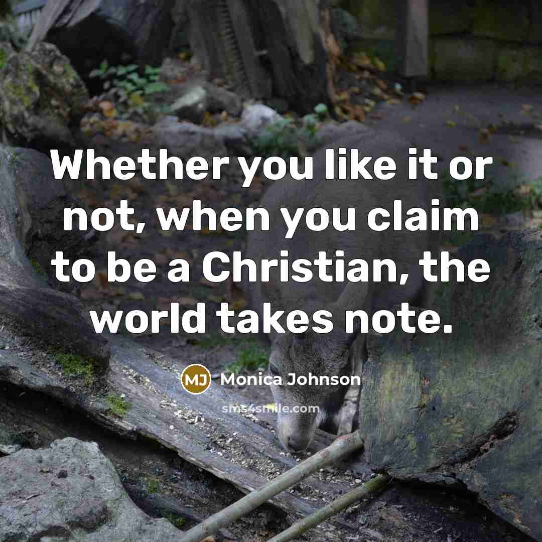 “Whether you like it or not, when you claim to be a Christian, the world takes note.” quote by Monica Johnson