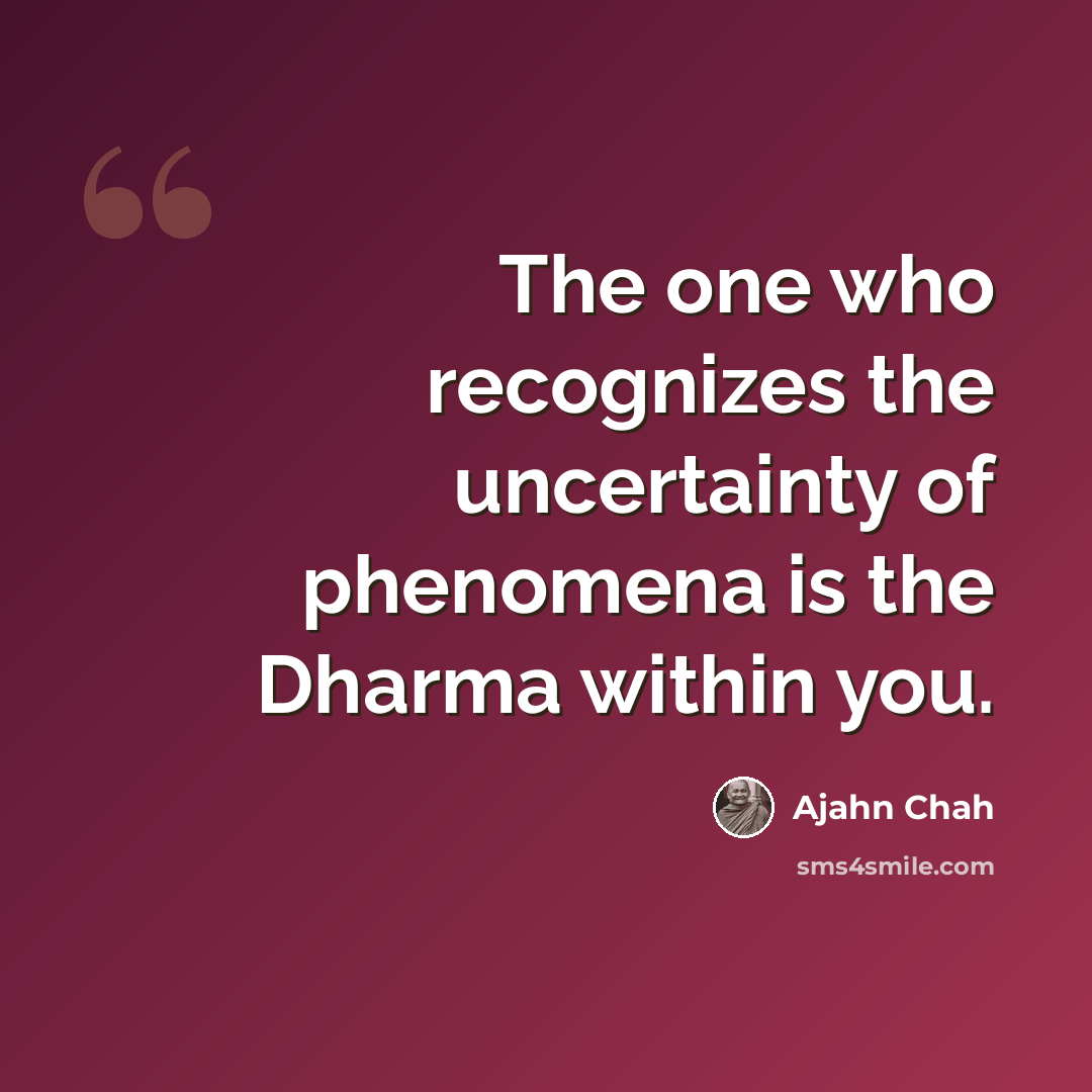 “The one who recognizes the uncertainty of phenomena is the Dharma within you.” quote by Ajahn Chah