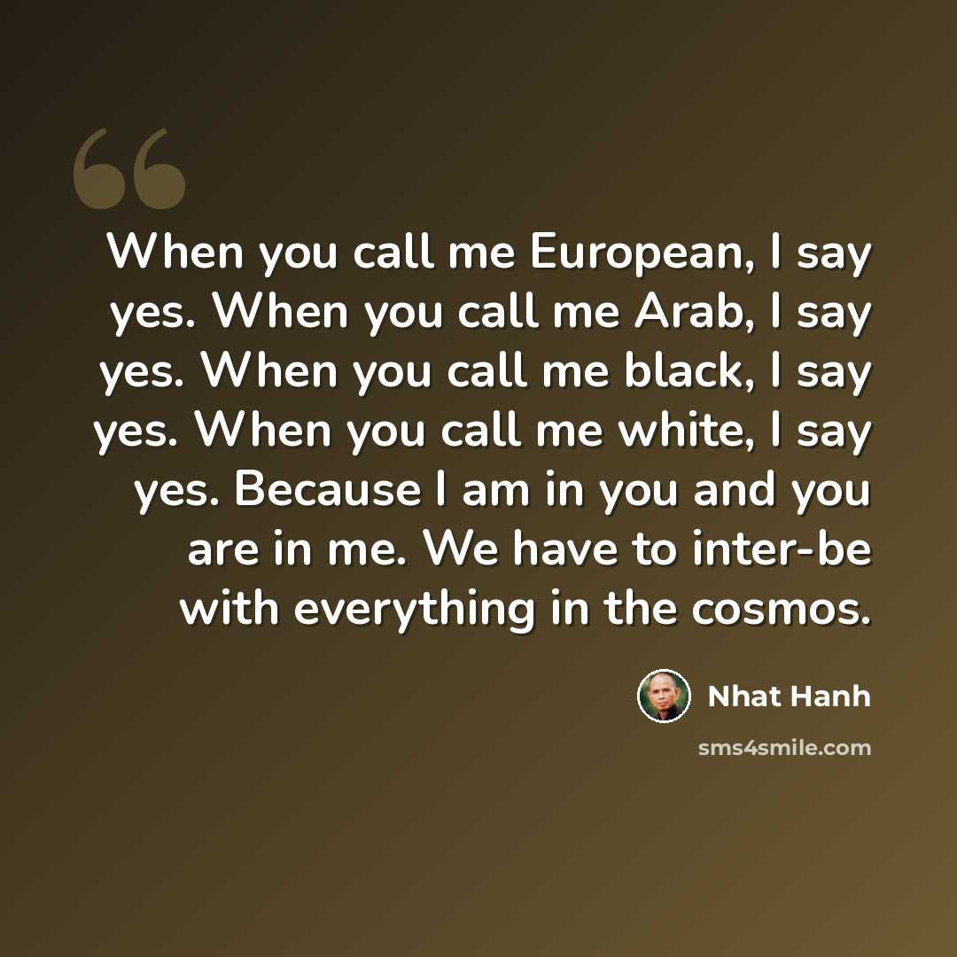 “When you call me European, I say yes. When you call me Arab, I say yes. When you call me black, I say yes. When you call me white, I say yes. Because I am in you and you are in me. We have to inter-be with everything in the cosmos.” quote by Nhat Hanh