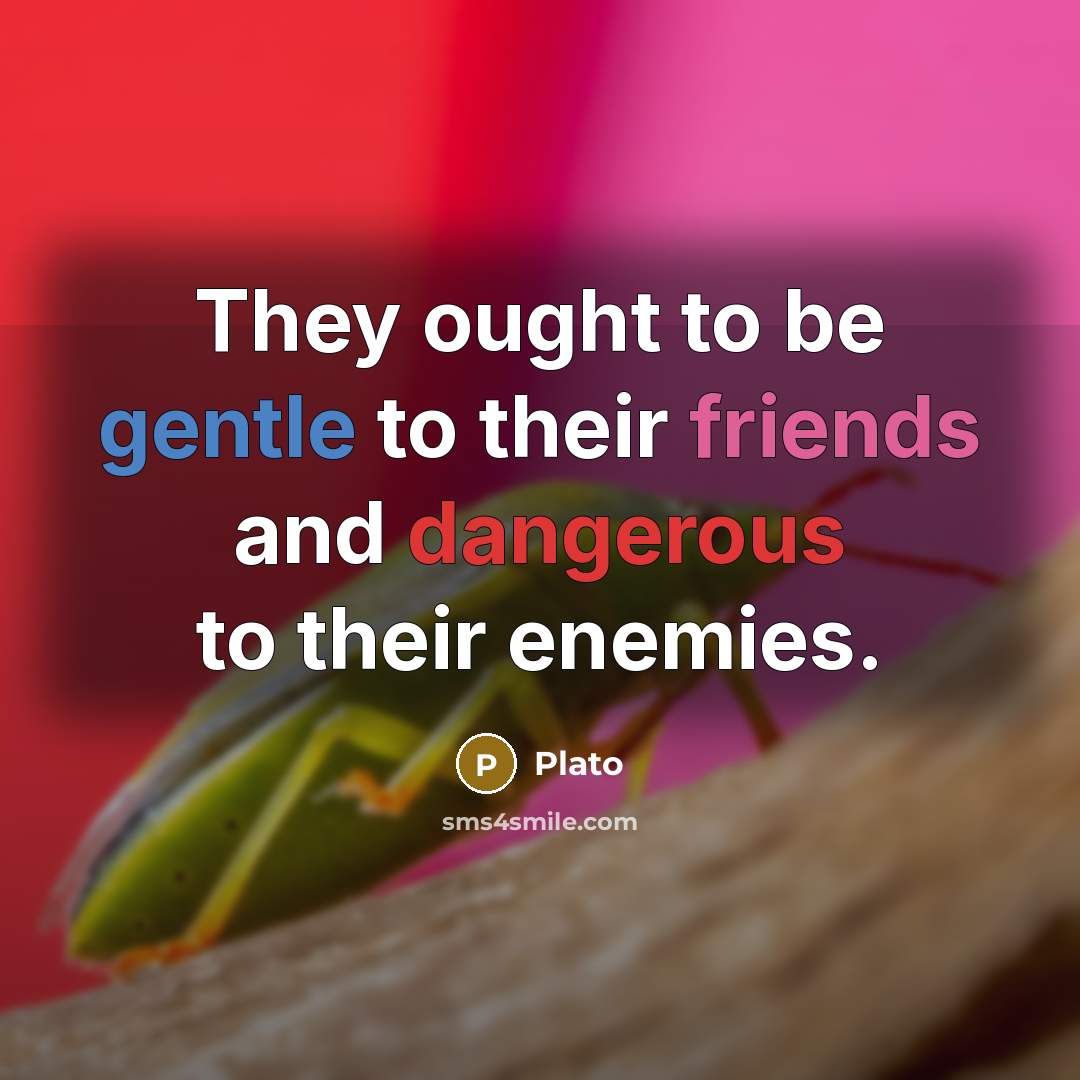 “They ought to be gentle to their friends and dangerous to their enemies.” quote by Plato