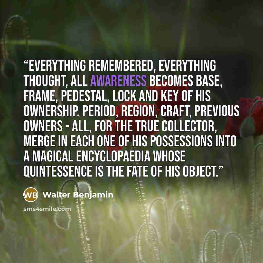 “Everything remembered, everything thought, all awareness becomes base, frame, pedestal, lock and key of his ownership. Period, region, craft, previous owners - all, for the true collector, merge in each one of his possessions into a magical encyclopaedia whose quintessence is the fate of his object.” quote by Walter Benjamin