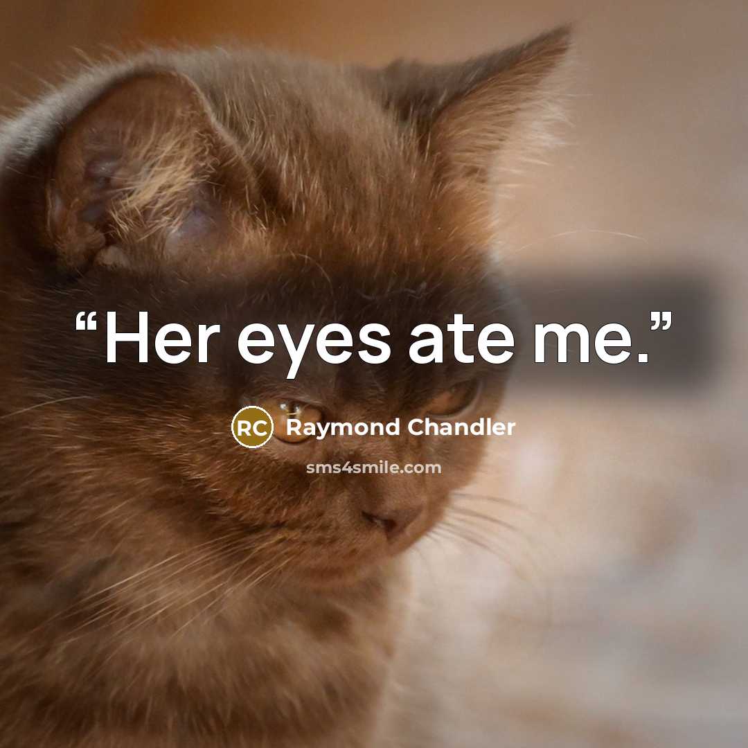 “Her eyes ate me.” quote by Raymond Chandler