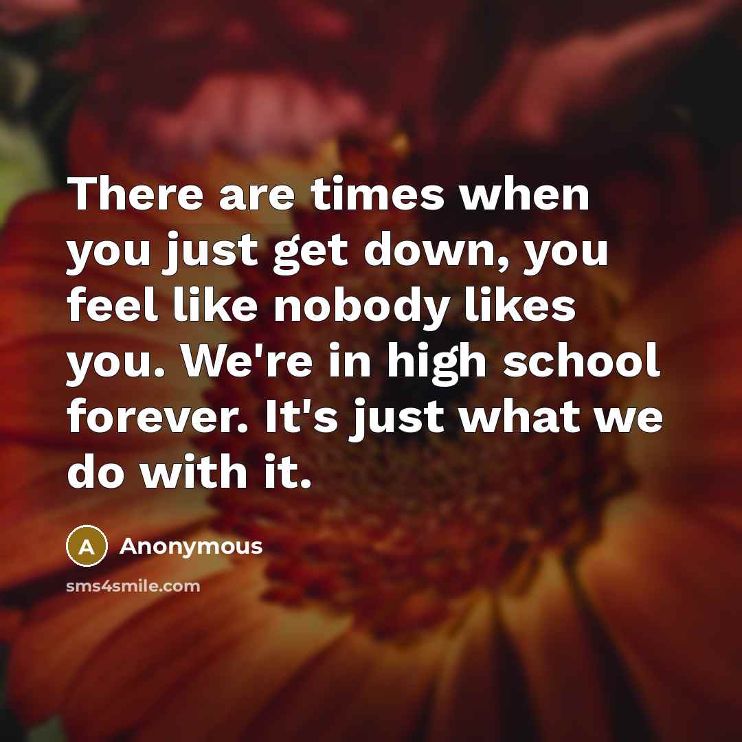 “There are times when you just get down, you feel like nobody likes you. We're in high school forever. It's just what we do with it.” quote by Anonymous