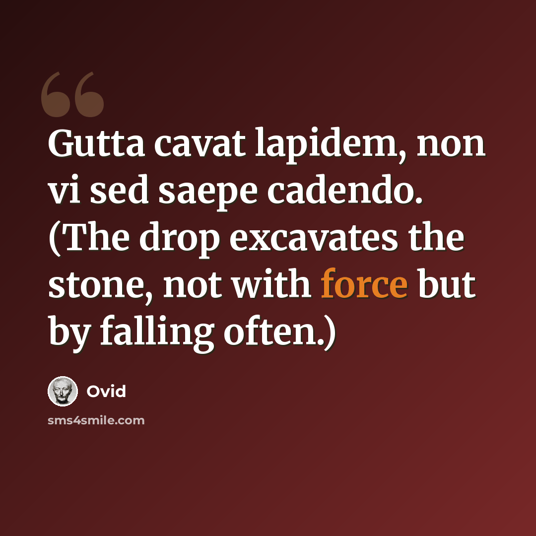 “Gutta cavat lapidem, non vi sed saepe cadendo. (The drop excavates the stone, not with force but by falling often.)” quote by Ovid