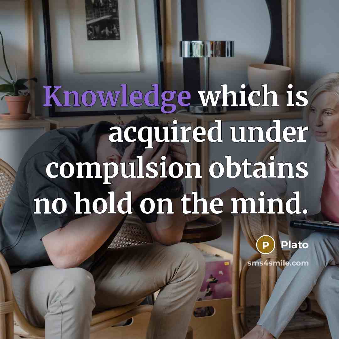 “Knowledge which is acquired under compulsion obtains no hold on the mind.” quote by Plato