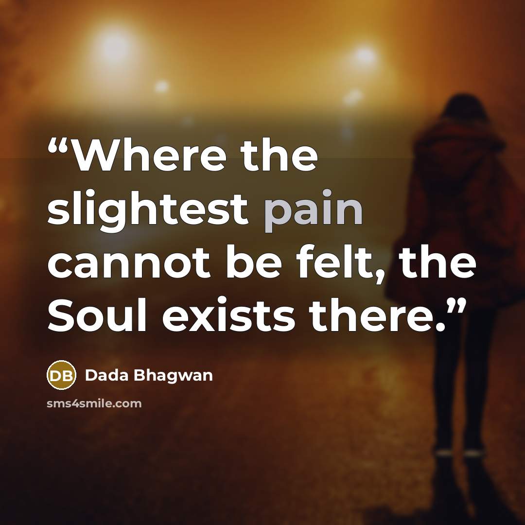 “Where the slightest pain cannot be felt, the Soul exists there.” quote by Dada Bhagwan