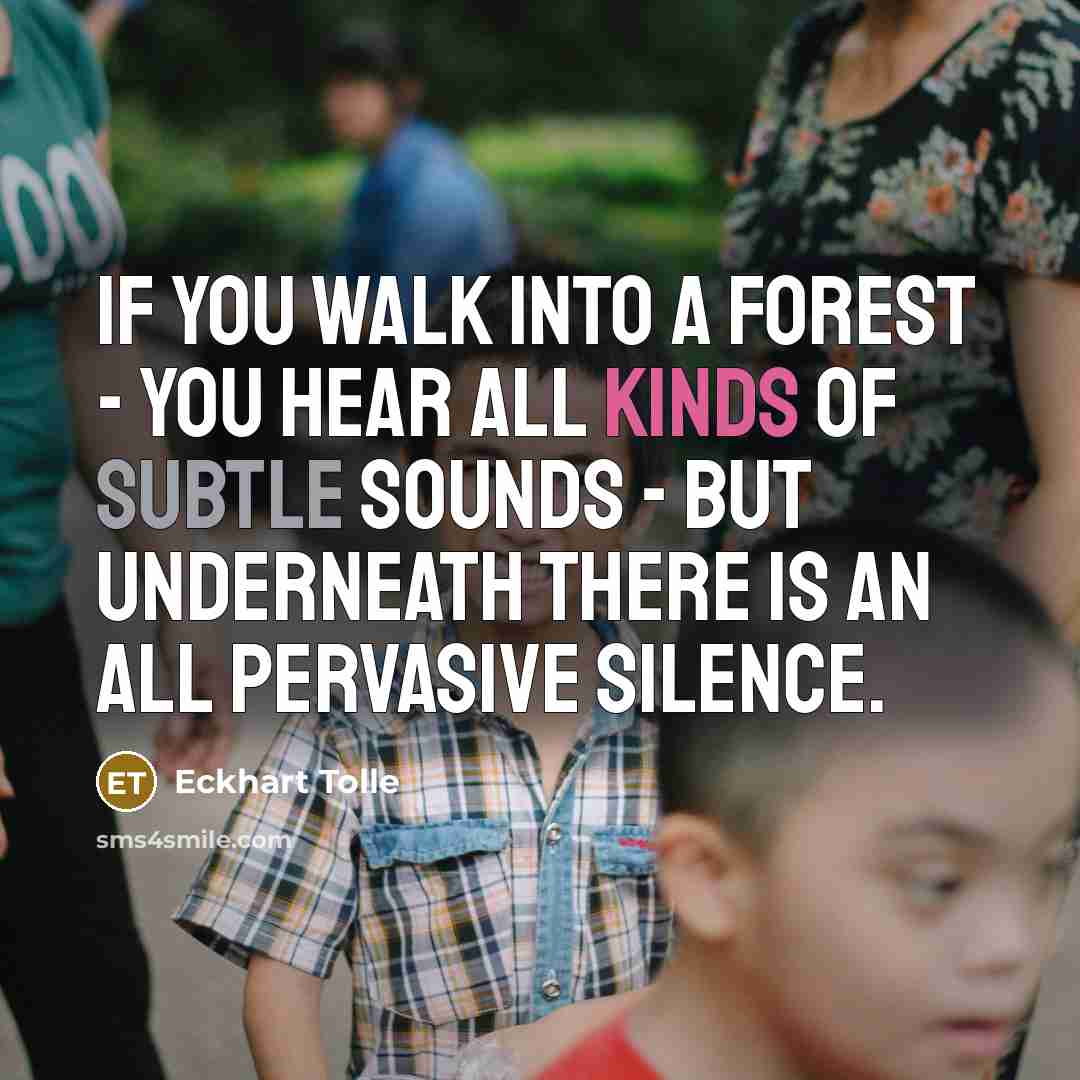 “If you walk into a forest - you hear all kinds of subtle sounds - but underneath there is an all pervasive silence.” quote by Eckhart Tolle
