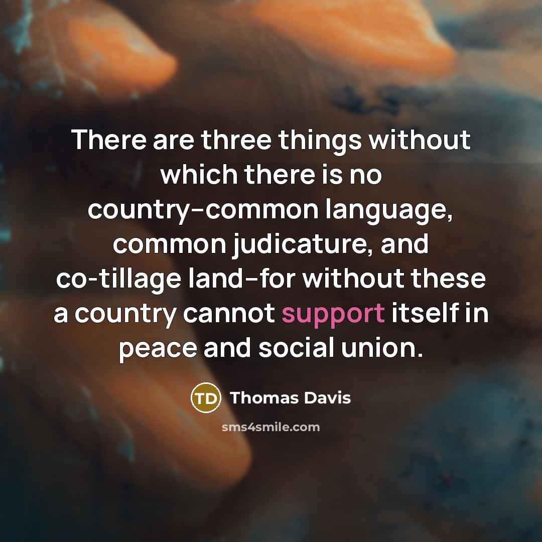 “There are three things without which there is no country--common language, common judicature, and co-tillage land--for without these a country cannot support itself in peace and social union.” quote by Thomas Davis