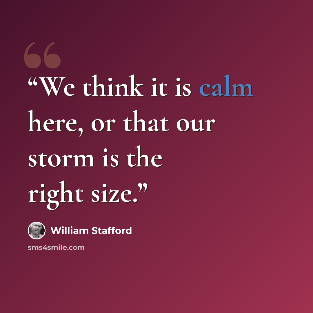 “We think it is calm here, or that our storm is the right size.” quote by William Stafford