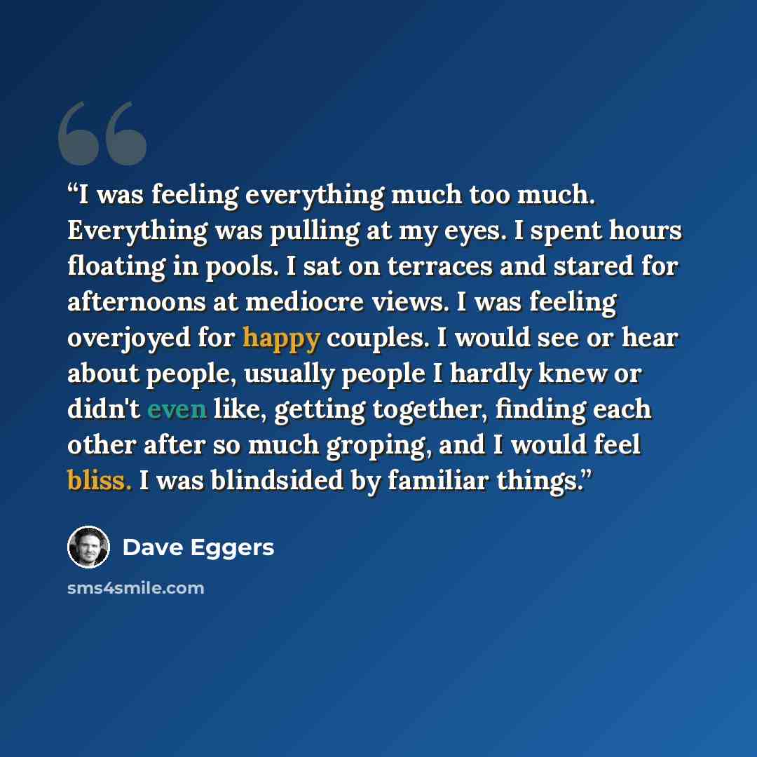 “I was feeling everything much too much. Everything was pulling at my eyes. I spent hours floating in pools. I sat on terraces and stared for afternoons at mediocre views. I was feeling overjoyed for happy couples. I would see or hear about people, usually people I hardly knew or didn't even like…” quote by Dave Eggers