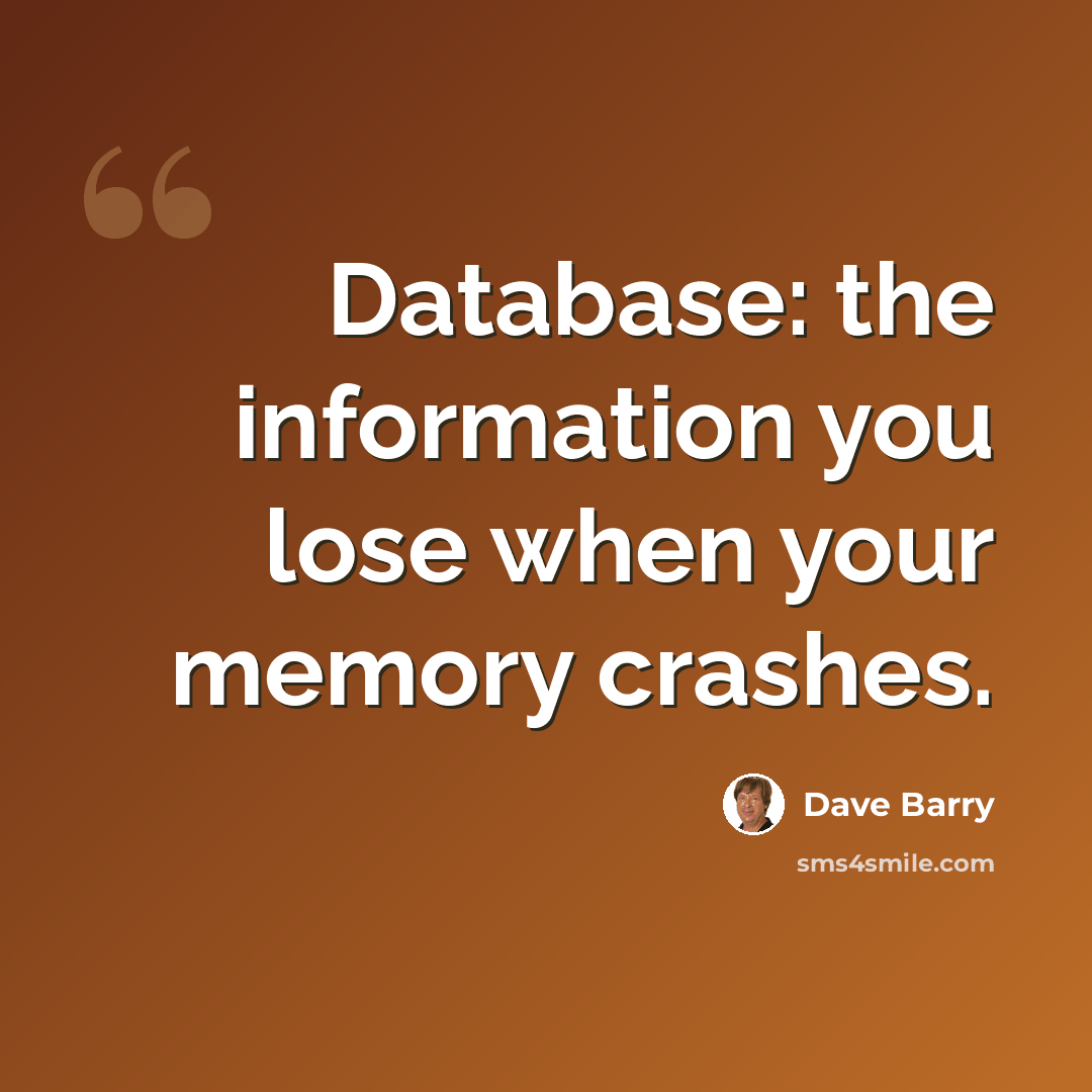 “Database: the information you lose when your memory crashes.” quote by Dave Barry