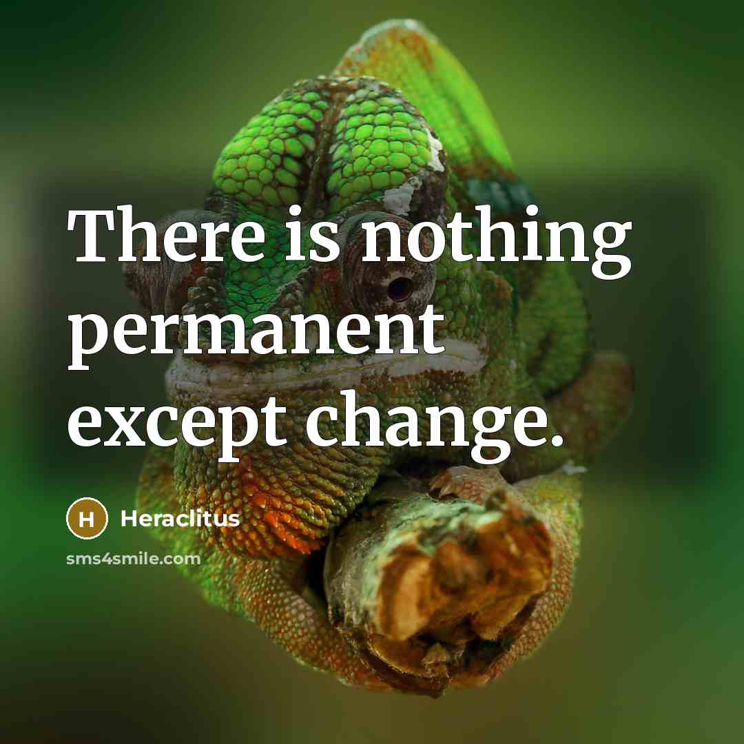 “There is nothing permanent except change.” quote by Heraclitus